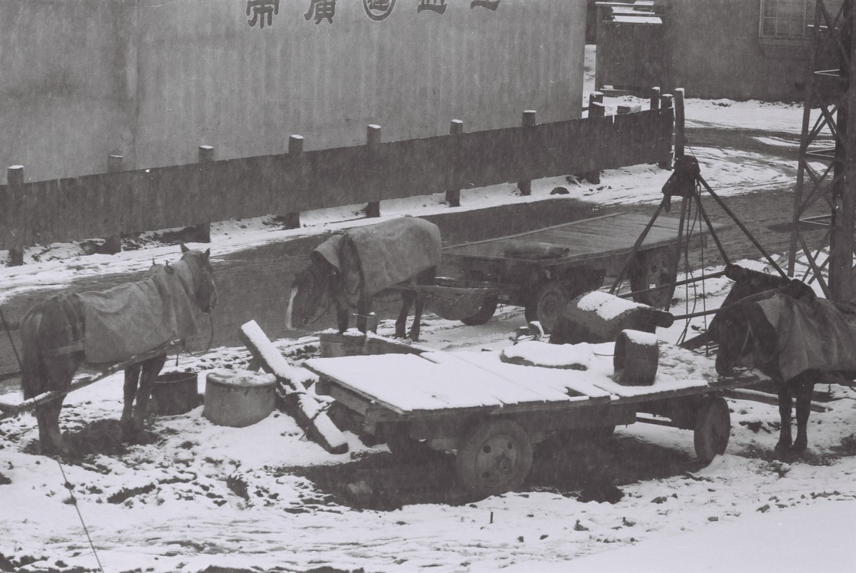昭和30年代 駅近くで作業する馬