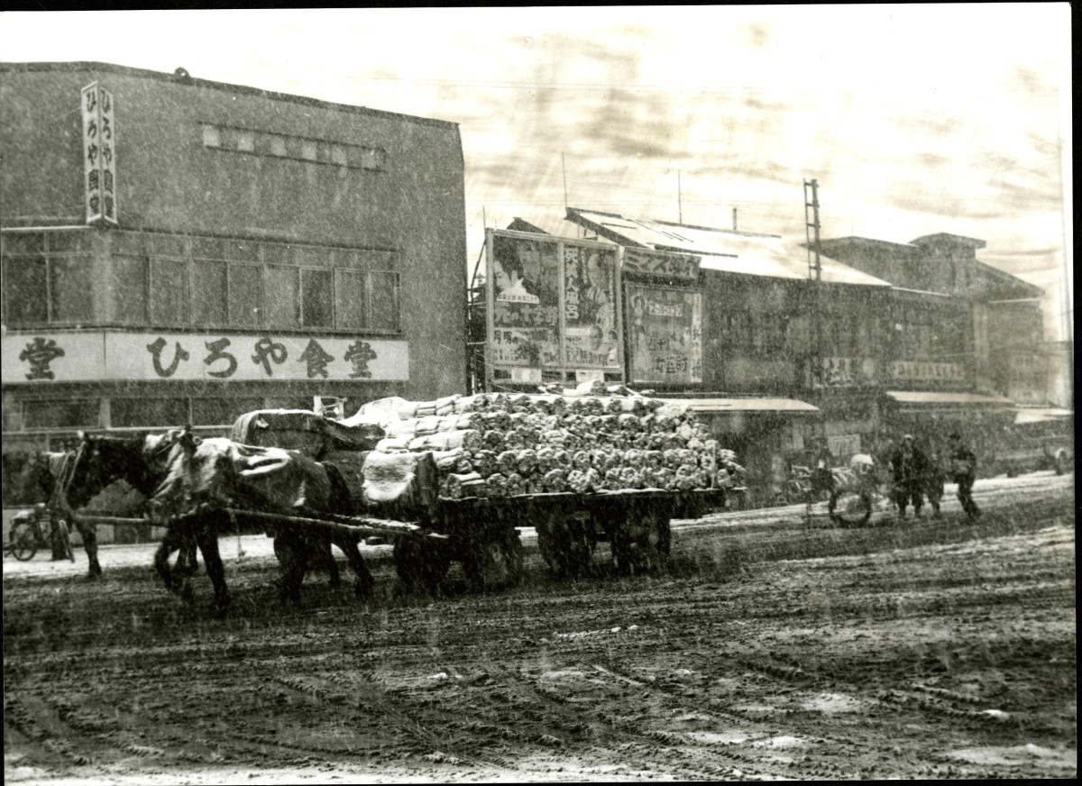 昭和30年代 街中で荷物を運搬する馬